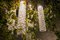 Lampadario Flower Power in vetro di Murano ed edera artificiale di Vgnewtrend, Immagine 5