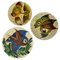 Mid-Century Spanish Ceramic Wall Plates with Fish Decor from Puigdemont, Set of 3 1