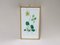 Flowers Aquarell von W. Kratz, 1950er, Set of 4 6