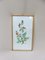 Flowers Aquarell von W. Kratz, 1950er, Set of 4 10