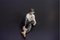 Antique Porcelain Man Figurine from Royal Copenhagen 1