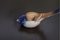 Porcelain Bird Figurine from Bing & Grondahl, 1970s, Image 2