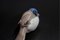 Figura de pájaro de porcelana de Bing & Grondahl, años 70, Imagen 2