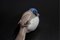 Porcelain Bird Figurine from Bing & Grondahl, 1970s 2