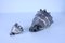 Mid-Century Silver-Coated Shells, Set of 2 12