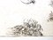 Litografia Max Ernst - The Soldier - Original 1972, Immagine 5