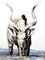 Paul Jouve - Antelope - Original grabado 1950, Imagen 3