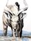 Paul Jouve - Antelope - Original Engraving 1950 4