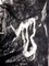 Edouard Goerg - Magic Jungle - Original Etching 1946, Image 5