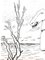 Roger Vieillard - Surrealist Horse - Original Etching 1946 4