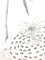 Gochka Charewicz - Herbarium - Original Signed Lithograph, Image 5