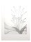 Lithographie Gochka Charewicz - Herbarium - Lithographie Signée Originale 2
