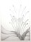 Gochka Charewicz - Herbarium - Signierte Originale Lithographie 1