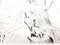 Salvador Dali - Venus in Furs - Sello original firmado 1968, Imagen 5