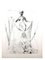 Salvador Dali - Venus in Furs - Sérigraphie originale de 1968 9