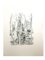 Acquaforte originale Raoul Dufy - Village 1940, Immagine 7