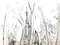 Acquaforte originale Raoul Dufy - Village 1940, Immagine 6