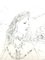 Leonard Foujita - Woman with Felines - Original Engraving 6
