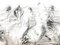 Acquaforte originale Raoul Dufy - Polli 1940, Immagine 5