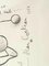 Jean Cocteau - Parametabolismes - Original Lithograph 1956 6
