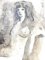 Leonor Fini - Young Beauty - Original Lithograph 1964 4