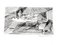 Jacques Villon - Landscape - Original Etching 1949, Image 1