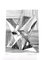 Jacques Villon - Two Cubist Vases - Original 1948 2