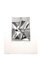 Acqua di Jacques Villon - Two Cubist Vases 1946, Immagine 1