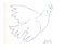 After Pablo Picasso - Peace Dove - Lithograph 1961 5