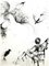 Salvador Dali - Nude with Parrots - Original Etching 1967, Image 2