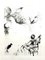 Salvador Dali - Nude with Parrots - Original Etching 1967, Image 1
