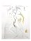 Salvador Dali - Nude Couple - Original Etching 1967, Image 8