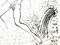 Salvador Dali - Akt am Brunnen - Original Radierung 1967 7
