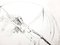 Salvador Dali - Venus in Furs - Sello original firmado 1968, Imagen 3