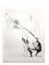 Salvador Dali - Venus in Pelzen - Original Briefstich mit eigenhändiger Radierung 1968 8