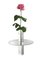Sakura Enigmatic Vase, Arturo Erbsman, Image 9