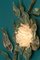 Wandleuchte aus reinem Bergkristall, Bay Flower, Demian Quincke 2