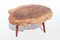 Unique Ash, Padouk Table by Jörg Pietschmann, Image 4