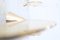 Großes Schwebendes Regal aus poliertem Messing von Chanel Kapitanj signiert 6