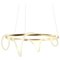 Sculptural Brass Circular Light Pendant, Shiva 1