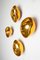 Aurum Gold Glass Sconce by Alex de Witte 3