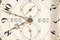 Horloge Antique en Chêne et Acajou de W Prior Skipton 11
