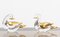 Glass and 24 Carat Gold Ducks from Murano, 1980s, Set of 2, Image 2