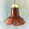 Mid-Century Ceiling Lamp from Peil & Putzler, 1970s 1