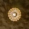 Lámpara colgante pequeña de latón chapado en oro y cristal de Palwa, años 60, Imagen 13