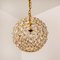 Small Gold-Plated Brass and Crystal Pendant Lamp from Palwa, 1960s 10