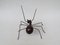 Brass Ant Sculpture, 1960s, Image 7