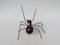 Escultura de hormiga de latón, años 60, Imagen 7