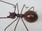 Brass Ant Sculpture, 1960s, Image 8