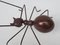 Escultura de hormiga de latón, años 60, Imagen 8